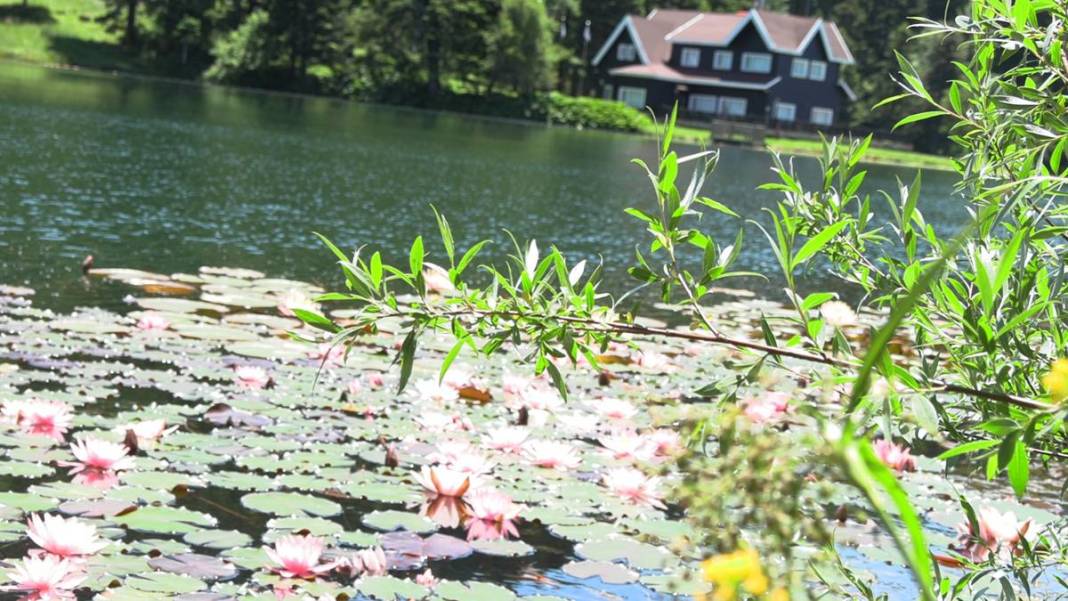 Fotoğraf çekeyim derken hayatının şokunu yaşayabilirsin: Yanına yaklaşana bile ceza yağacak 4